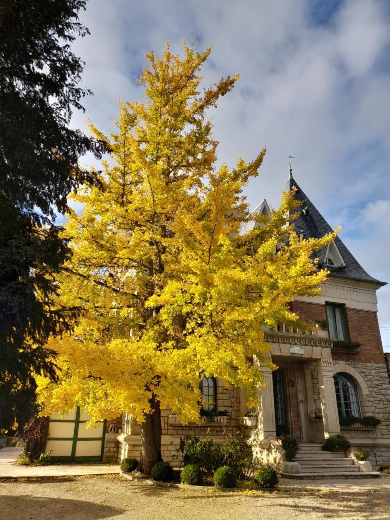 Villa Les Iris Saint-Felix  Luaran gambar
